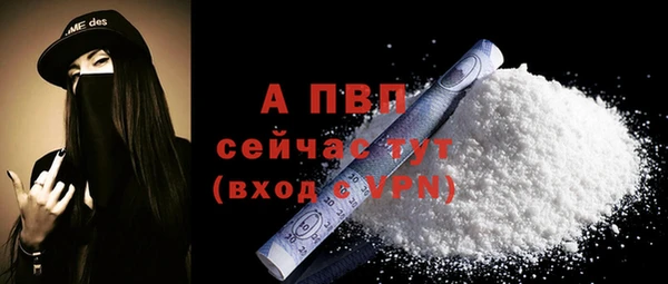 эйфоретик Вяземский