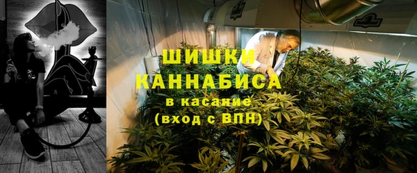эйфоретик Вяземский